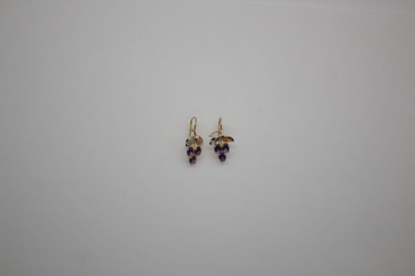 Aretes Viña Encantada