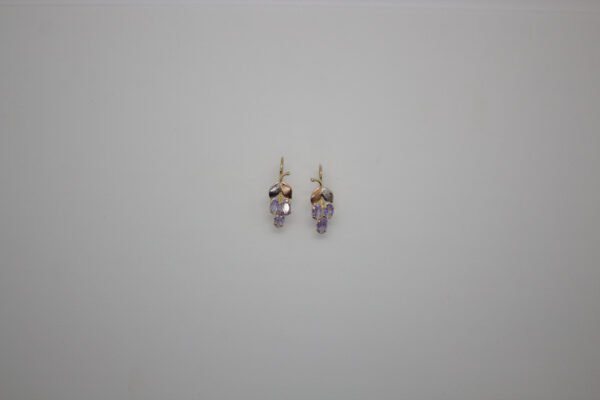 Aretes Viña Encantada