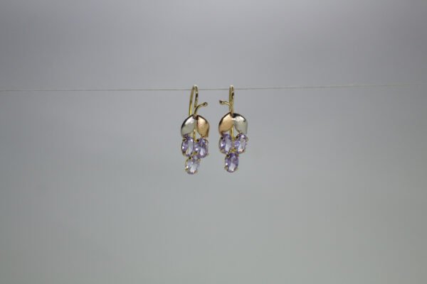 Aretes Viña Encantada