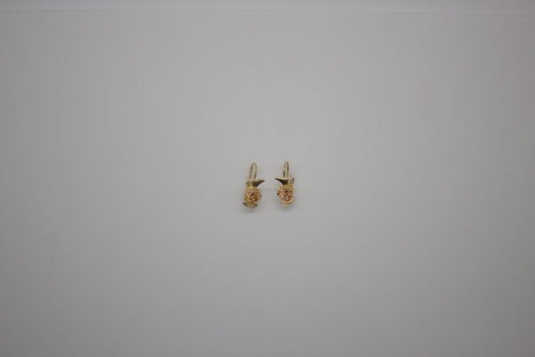 Aretes Jarrito Mágico