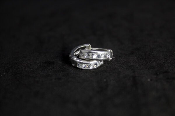 PA005_1 Arracadas Corte Princesa