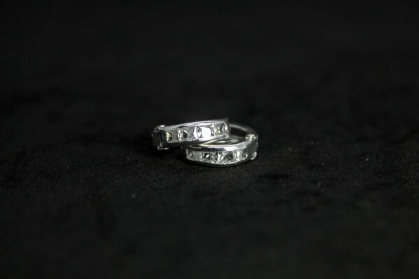 PA009_1 Arracadas Elegancia